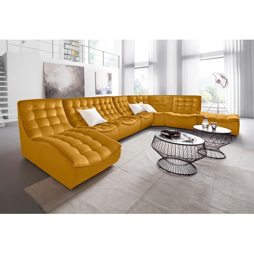 Sessel CALIA ITALIA 