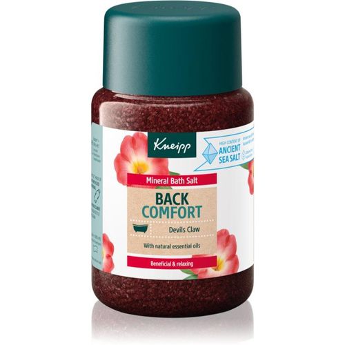 Kneipp Back & Shoulder bath salts 500 g