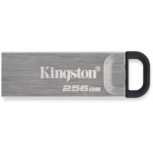 KINGSTON USB-Stick DataTraveler 80, USB 3.2, 256 GB