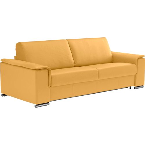 2,5-Sitzer EGOITALIANO 