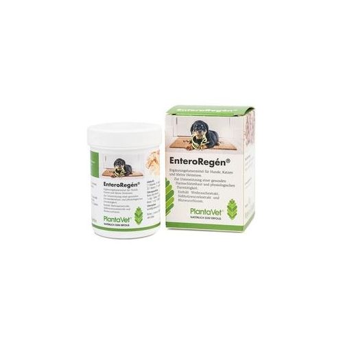 PlantaVet EnteroRegen 240 Tabletten