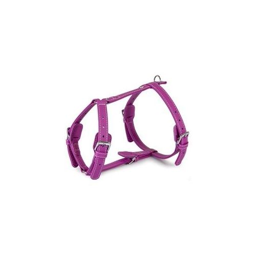 Das Lederband Barcelona Geschirr Rose-Violet Größe S