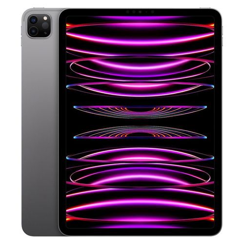 iPad Pro 11 (2022) 4. Generation 2000 GB - WLAN - Space Grau