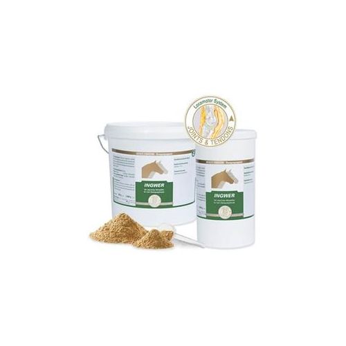 Vetripharm Ingwer 2 kg