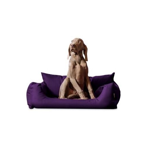 Tierlando NEMO Hundebett Hundesofa S M L Hundekorb Katzenbett 65 80 100cm lila 80 cm, 22 cm, 60 cm