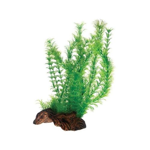 Dohse Flora Root 3 L 30 cm