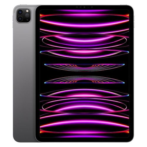 iPad Pro 11 (2022) 4. Generation 512 GB - WLAN - Space Grau