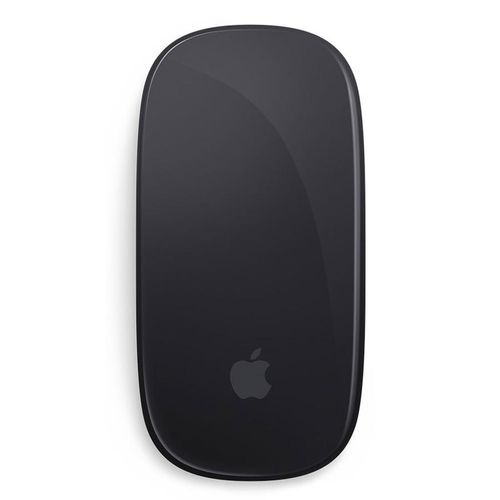 Magic mouse 2 Wireless - Space Grau