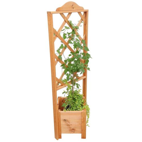 Promadino Eckelement Botanica 140 cm