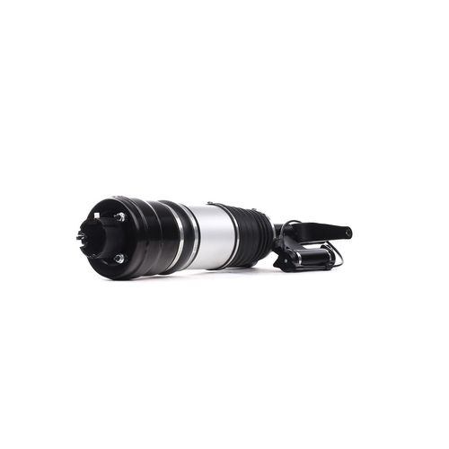 RIDEX Luftfederbein MERCEDES-BENZ 4118A0063 2113202038,211320203880,2113209613 A2113209613,A211320961380,2113202813,211320961380,A2113202038