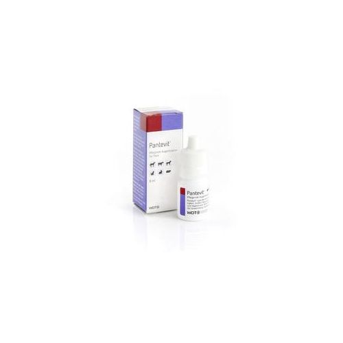 WDT Pantevit Augentropfen 8 ml