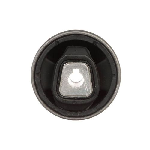 DELPHI Querlenkerlager BMW TD1735W 31120410791,31126768818 Querlenkerbuchse,Querlenkergummi,Querlenker Gummilager,Lagerung, Lenker