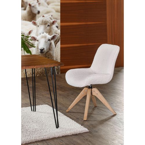 Regal GUTMANN FACTORY 