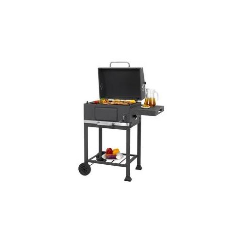 Holzkohlegrill TEPRO 