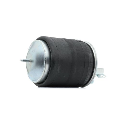 RIDEX Luftfeder, Fahrwerk VOLVO 4119A0069 20375226,20427803,20427800 20456150,20531984,20582206,21961374,7422071638,1075890,1076415
