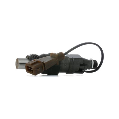 BOSCH Düsenstock NISSAN 0 432 217 306 166007F406,166007F407