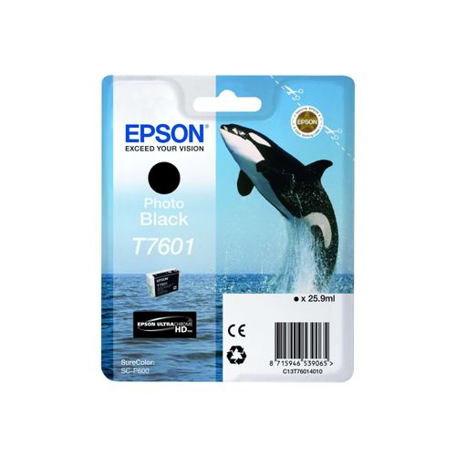 Original Epson C13T76014010 / T7601 Druckerpatrone Foto Schwarz