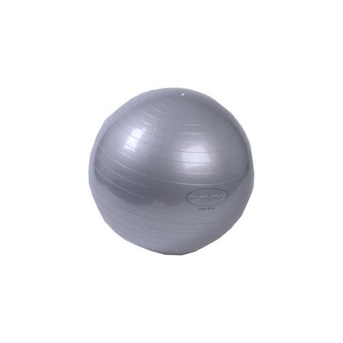 GYMNASTIKBALL Rehaforum 65 cm silber metallic