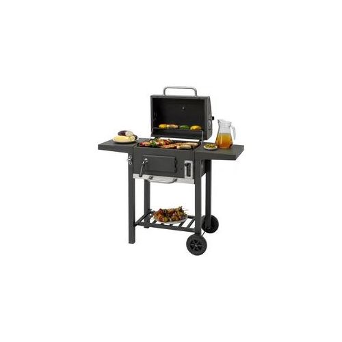 Holzkohlegrill TEPRO 