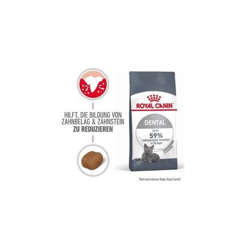 Royal Canin Dental Care Katzennahrung trocken für gesunde Zähne (ORAL