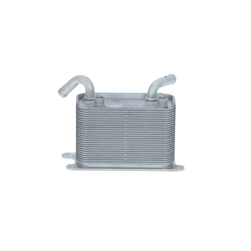 NRF Ölkühler VW,NISSAN 31782 7H0317019B Ölkühler, Motoröl