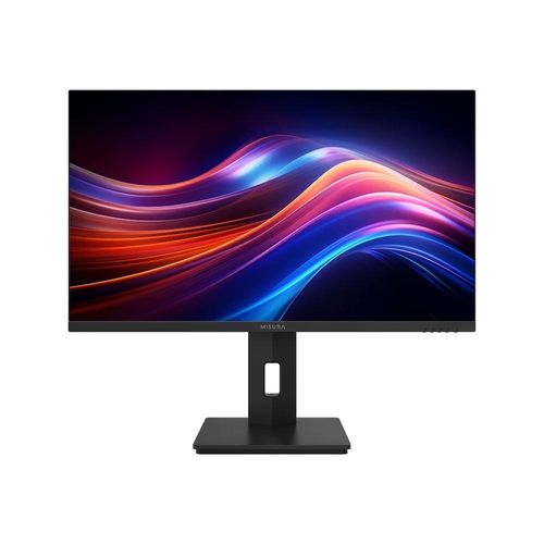 Gaming monitor 25
