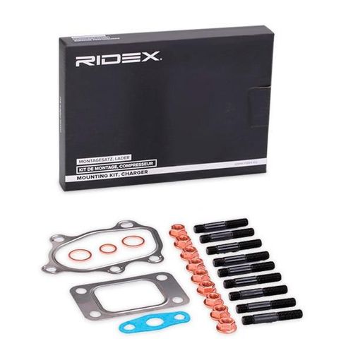 RIDEX Montagesatz, Lader NISSAN 2420M0008