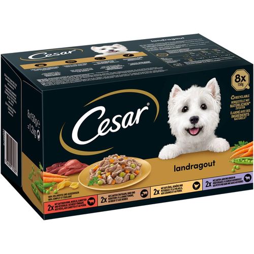 CESAR Landragout 4 Varietäten 64x150g