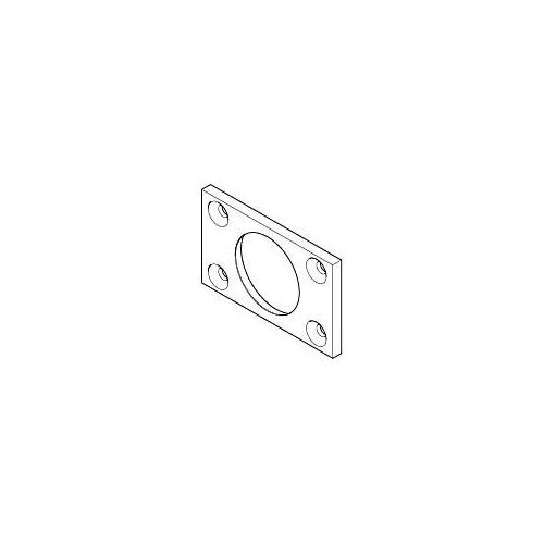 Dornbracht Platte Seitenbrause Water 09110213890 roh