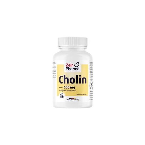 Zein Pharma Cholin 600mg