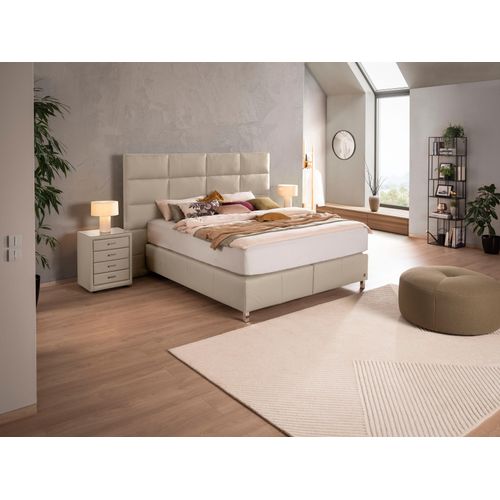 Boxspringbett ALINA 