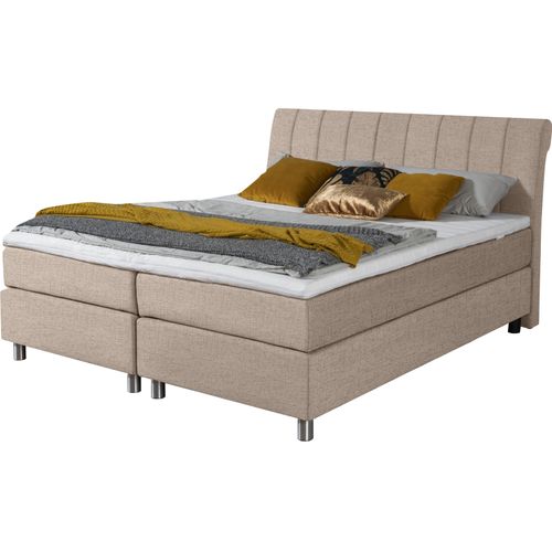 Boxspringbett ALINA 