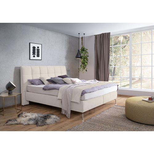 Boxspringbett ALINA 