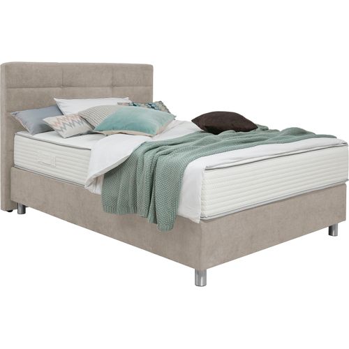 Boxspringbett ALINA 