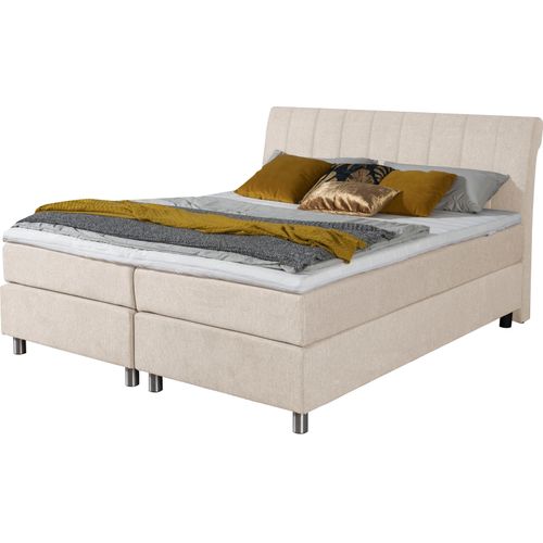 Boxspringbett ALINA 