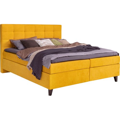 Boxspringbett ALINA 