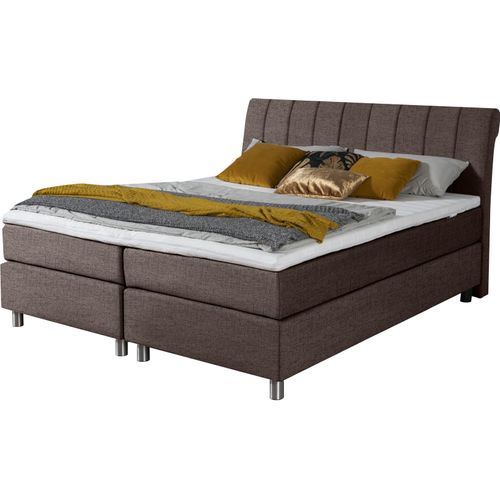 Boxspringbett ALINA 