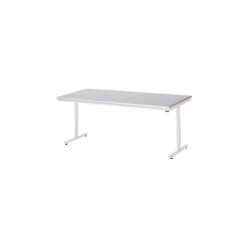 Rau Arbeitstisch Adlatus, elektrisch höhenverstellbar, 25 mm MDF-Platte, Stahlblechbelag, 150 kg, B 2000 x T 1000 x H 720-1120 mm, silber/lichtgrau