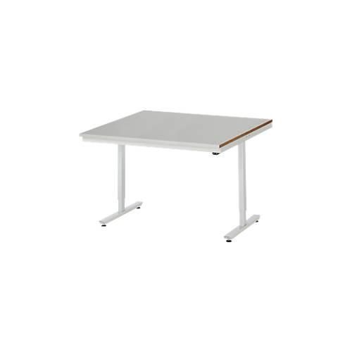 Rau Arbeitstisch Adlatus, elektrisch höhenverstellbar, 25 mm MDF-Platte, Edelstahlbelag, bis 150 kg, B 1250 x T 1000 x H 720-1120 mm, silber/lichtgrau