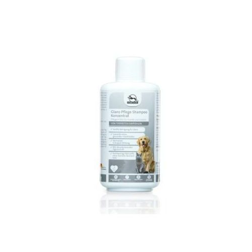 Fortan Glanz-Pflege Shampoo