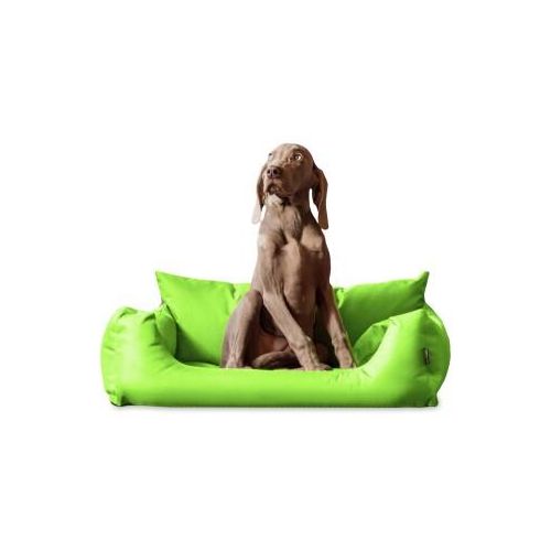 Tierlando NEMO Hundebett Hundesofa S M L Hundekorb Katzenbett 65 80 100cm kiwi 80 cm, 22 cm, 60 cm