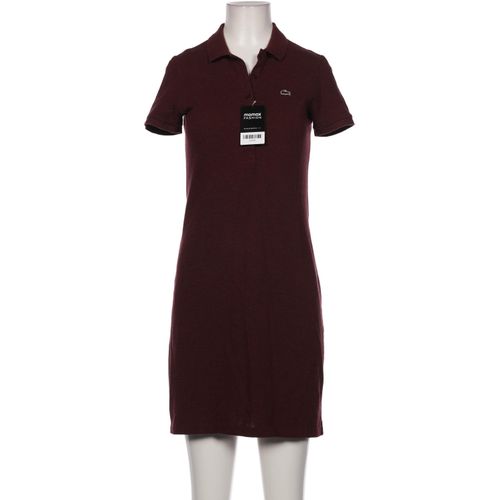 Lacoste Damen Kleid, bordeaux, Gr. 36