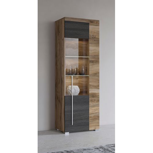 INOSIGN Vitrine »Roger,Höhe 160cm stilvolle Glasvitrine mit verstellbare Glasböden«, Standvitrine 1Trg, viel Stauraum, ohne Beleuchtung