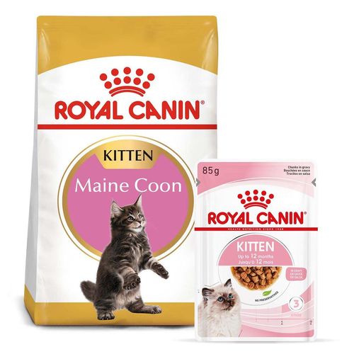 ROYAL CANIN KITTEN Maine Coon 4kg + Kitten in Soße 12x85g