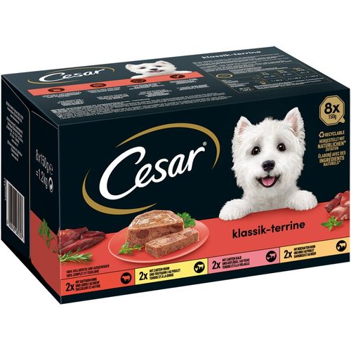 CESAR Klassik-Terrine 4 Varietäten 64x150g