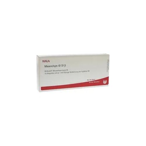 Mesenchym Gl D12 Ampullen