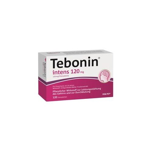 Tebonin intens 120mg