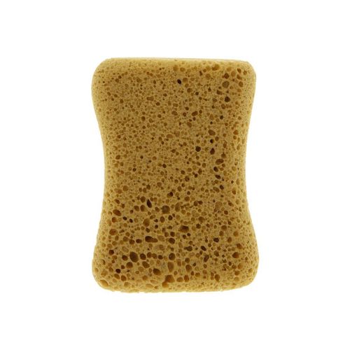 Carlinea Schwämme 011012