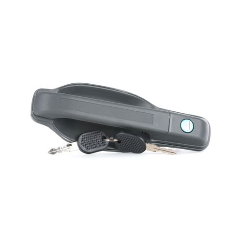 RIDEX Türgriff IVECO 1373D0130 93936135