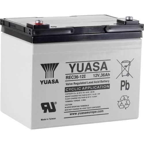 Yuasa REC36-12 YUAREC3612 Bleiakku 12 V 36 Ah Blei-Vlies (AGM) (B x H x T) 196 x 169 x 130 mm M5-Schraubanschluss Geringe Selbstentladung, Wartungsarm,